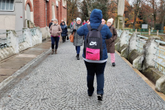 IMG_20221118_120423