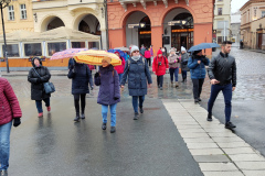 IMG_20221118_124448