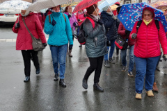 IMG_20221118_124739